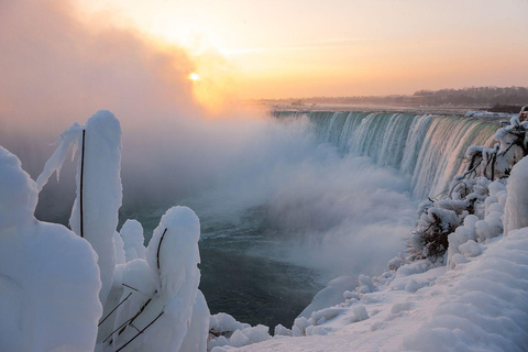 Depuis Toronto : Visite des chutes du Niagara avec la Tour d&#039;Illumination