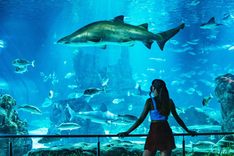 Aquarium de Barcelone : billet coupe-fileBillet coupe-file