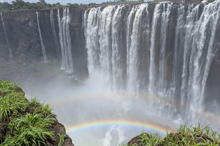 Victoria Falls Spectacular: Full-Day Zimbabwe & Zambezi Tour