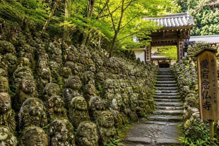Kyoto Private Full-Day Guided Tour with Transfers