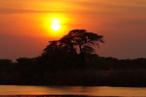 Mtwapa Creek: romantic Sunset Cruise in calm waters