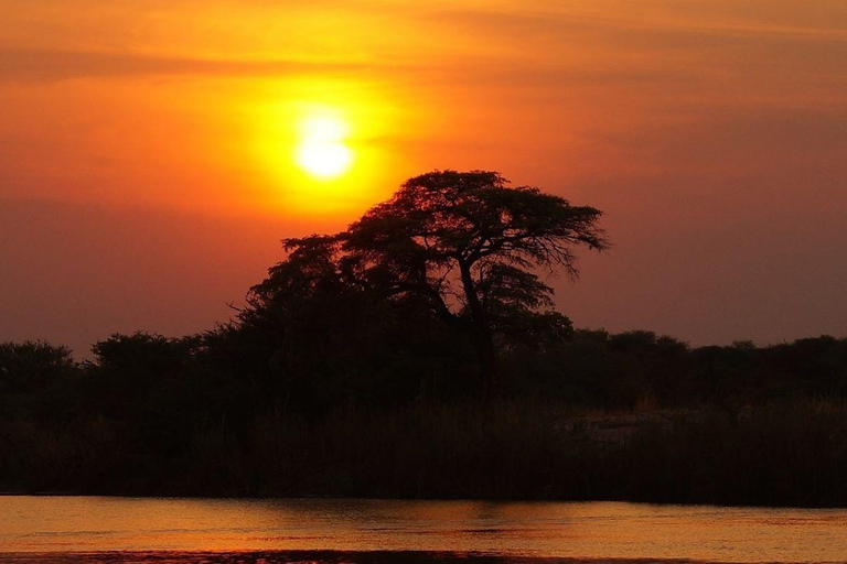 Mtwapa Creek: romantic Sunset Cruise in calm waters