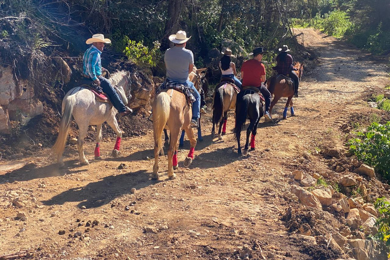 Go horseback riding in the forest and visit San Juan Chamula Horseback riding tour in the forest and visit San Juan Chamula