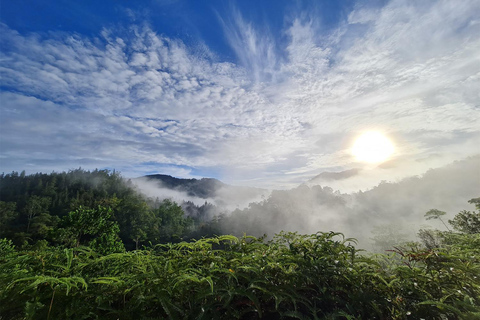 Sri Lanka: tour avventuroso di 12 giorni