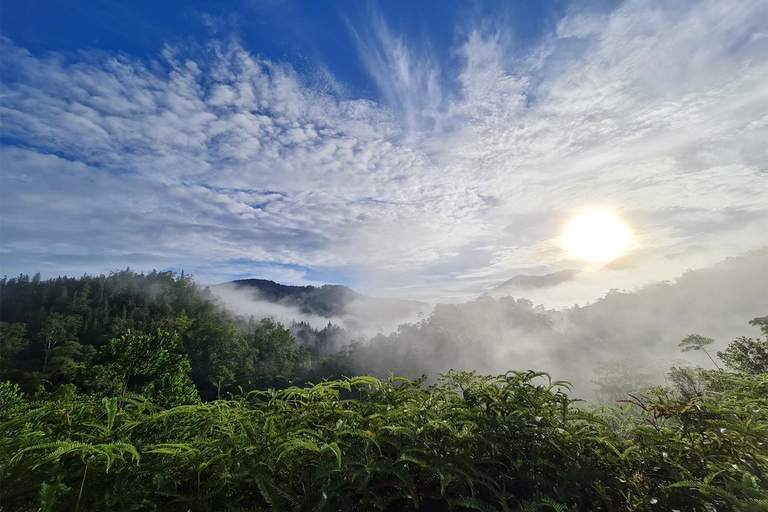 Sri Lanka: 12-tägige Abenteuertour durch die Landschaft