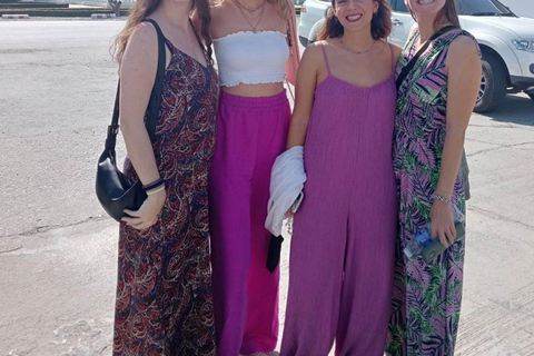 Chiangrai : Half Day Tour 3 Famous Temples / (Private tour)