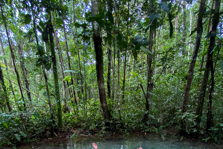 Presidente Figueiredo: Jungle Lodge Immersion in the Amazon (2–4 days) Full Jungle Lodge Experience in the Amazon (2 days and 1 night)