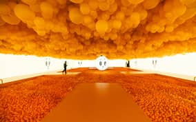 Chicago: Balloon Museum - EmotionAir - Entry Tickets