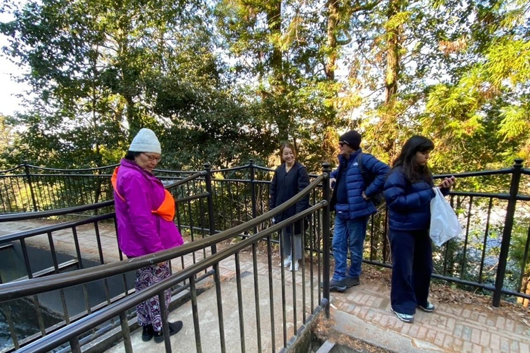 E-Bike Tour in Kyoto with Asuka, Japanese graduate student