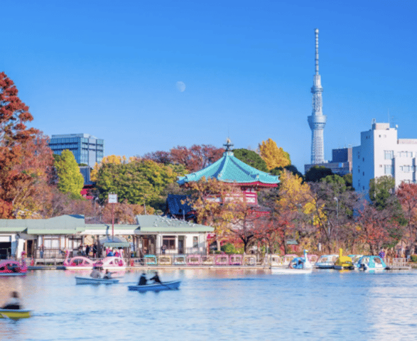 Tokyo: Ueno Contrast Walk – Market Chaos to Zen Silence