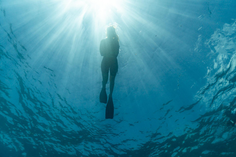 Zanzibar: Chumbe Island Day Trip incl. guided snorkelling