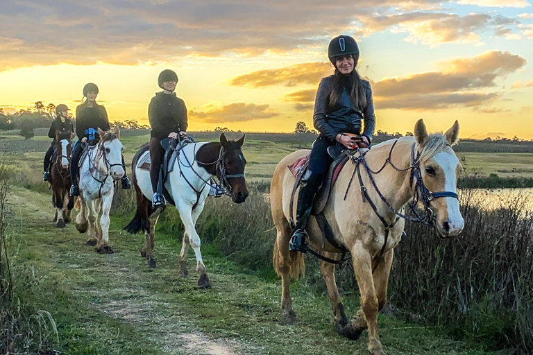 Hunter Valley: Sunset Horse Riding Tour 90min