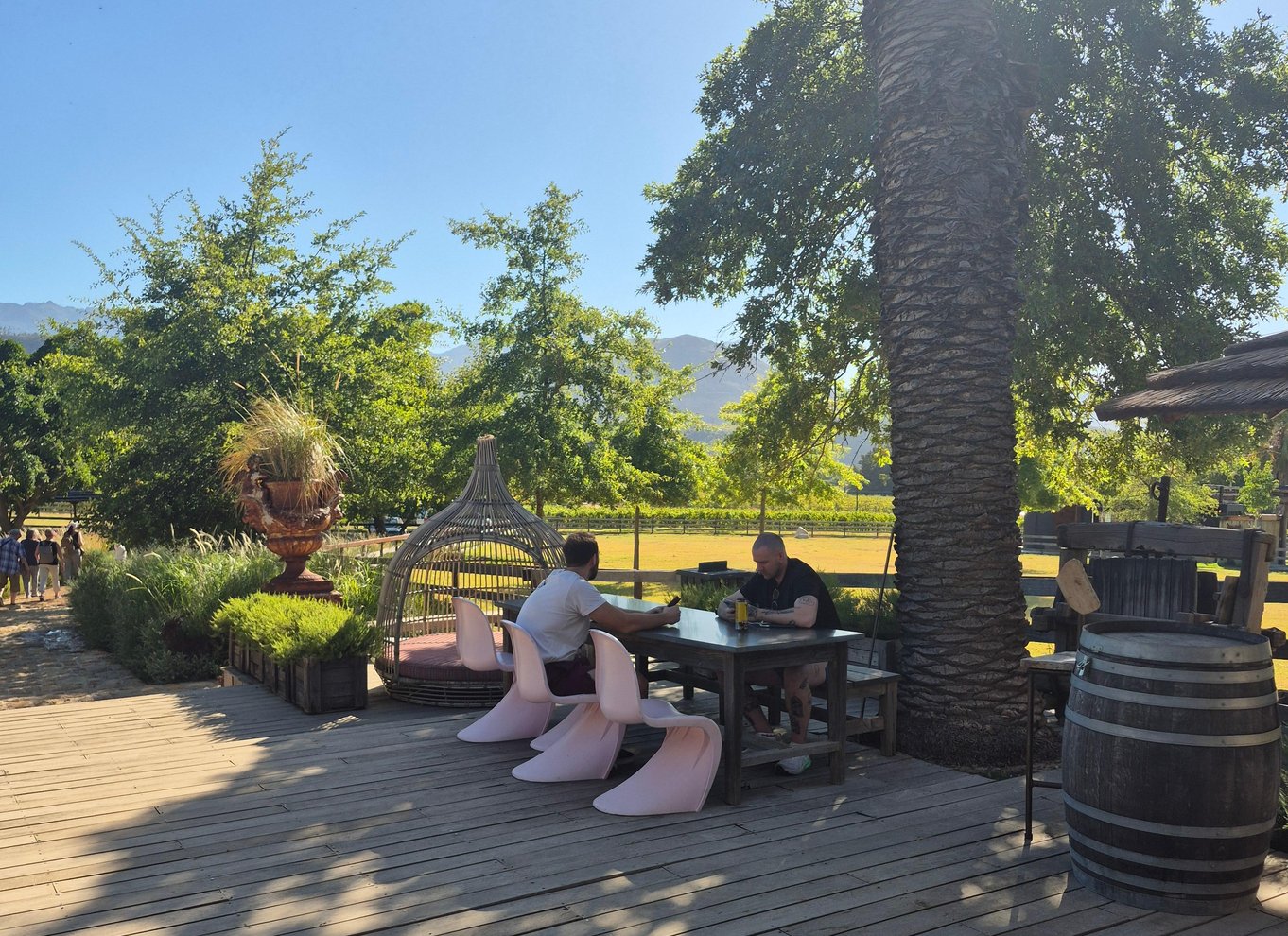 Vineyard Tour: Vin- og ostesmagning og vandretur i Franschhoek