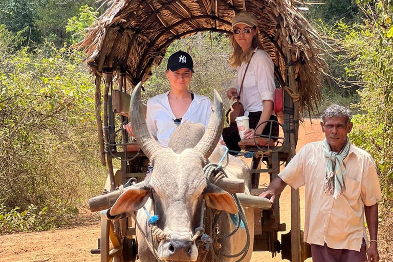 Depuis Kandy : Excursion d&#039;une journée à Sigiriya, Dambulla et Minneriya