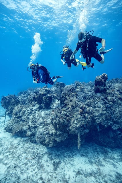 Cozumel: 1 Tank Certified Scuba Diving | GetYourGuide