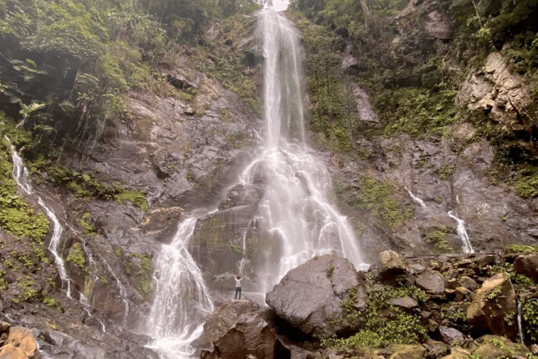 Chiapas : Visite d&#039;une jounée à Las Nubes