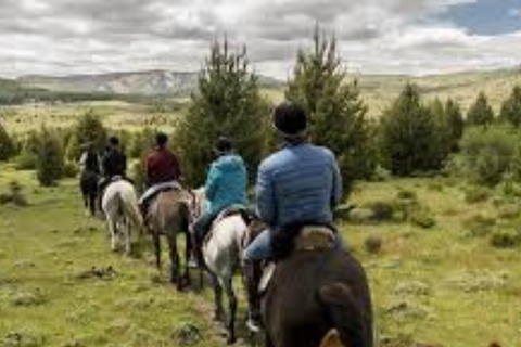 Sunset Horseback Ride in Villa Llanquin, Bariloche