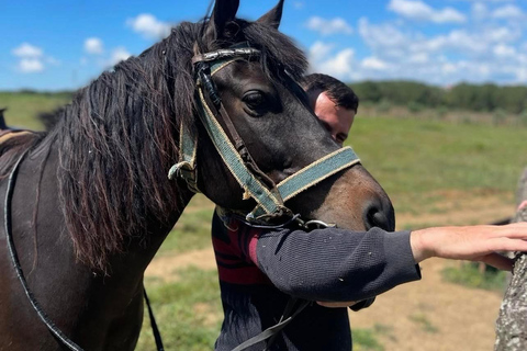 哈尼伊·克罗西特骑马之旅（含贝拉特接送服务）哈尼伊·克罗西特骑马游，贝拉特接送服务