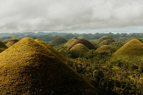 From Cebu: Bohol Day Tour with River Cruise and Lunch