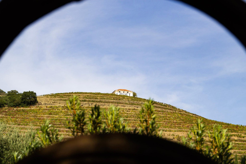 Porto: Douro Valley: An authentic Wine experience with Lunch Guided tour in Portuguese with Pick Up