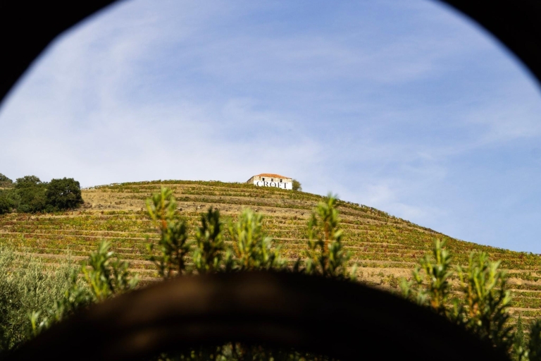 Porto: Dourovallei: een authentieke wijnervaring met lunch