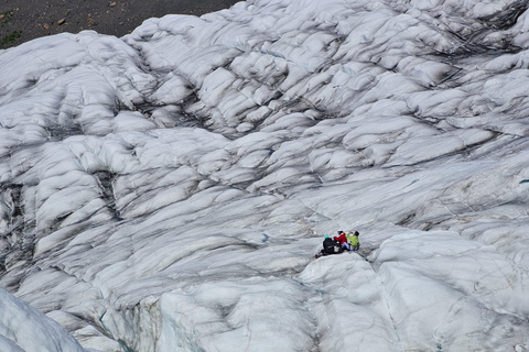 Skaftafell: Aventura no glaciar em grupo extra pequenoGrupo Extra Pequeno