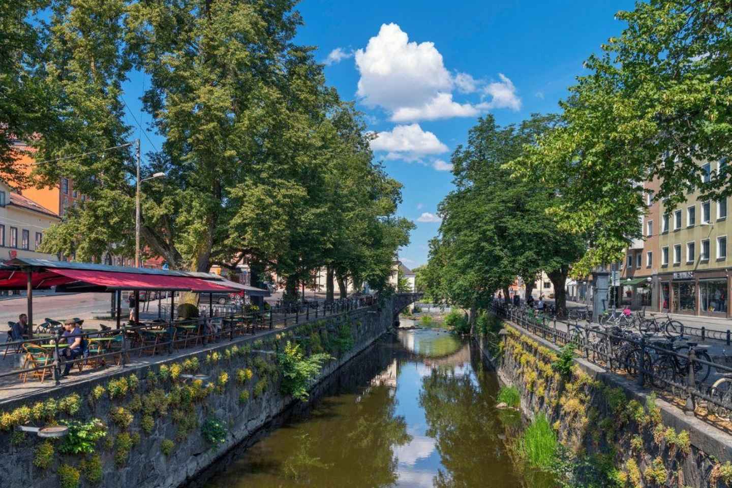 Uppsala da Stoccolma: tour a piedi di mezza giornata con Cattedrale e Università