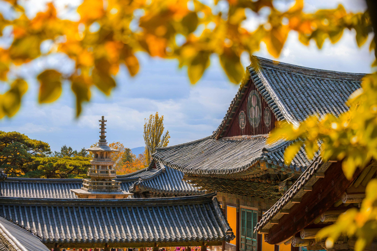 Busan: Gyeongju UNESCO Highlights 6 Hours Express Tour Shared Tour, Meet at Haeundae Station