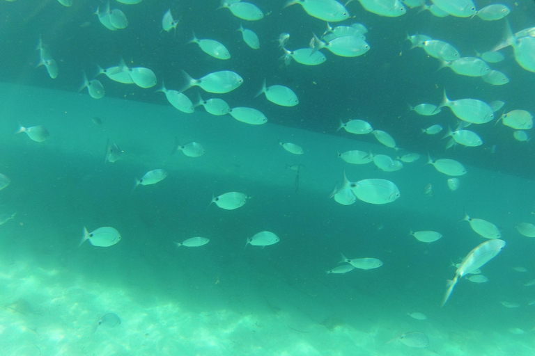 Lefkimmi: Blue Lagoon Cruise with BBQ Lunch and Swim Stops