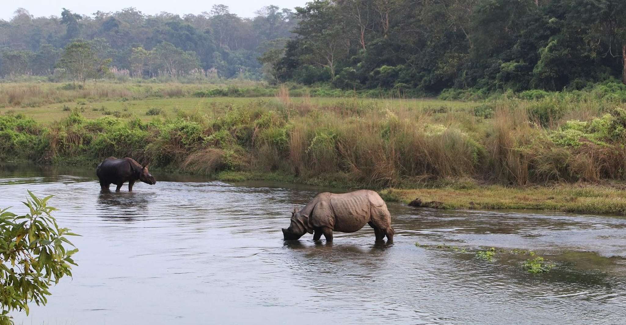 Pokhara, 1 Night 2 Day Chitwan Safari Tour - Housity