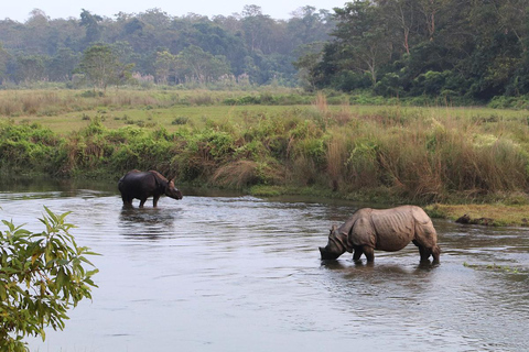 Pokhara: 1 natt 2 dagar Chitwan Safari Tour