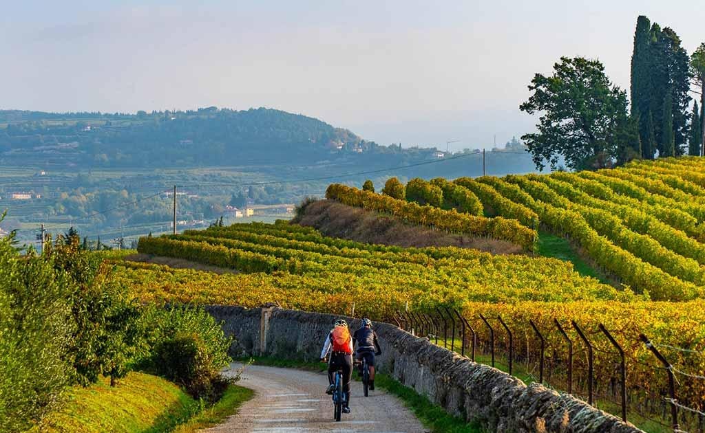 Isola d'asti: Oplevelse med elcykel og vinsmagning | GetYourGuide