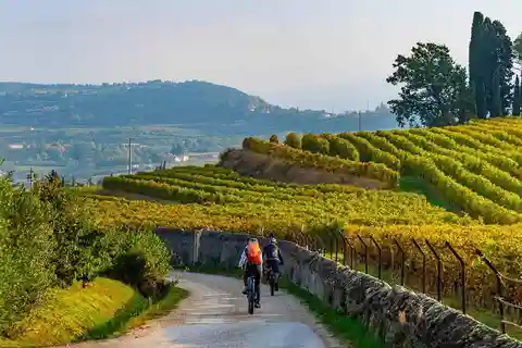 Isola d'asti: Oplevelse med elcykel og vinsmagning
