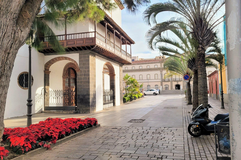 Santa Cruz: Paseo guiado por el casco antiguo - Lugares de interés y especiales