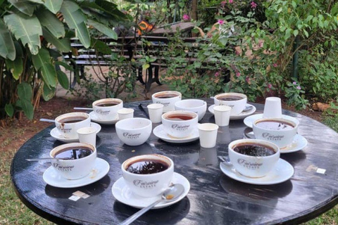 Nairobi: Tour della fabbrica e della fattoria del caffè con trasferimento