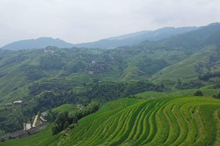 Longji Rice Terraces Private Tour
