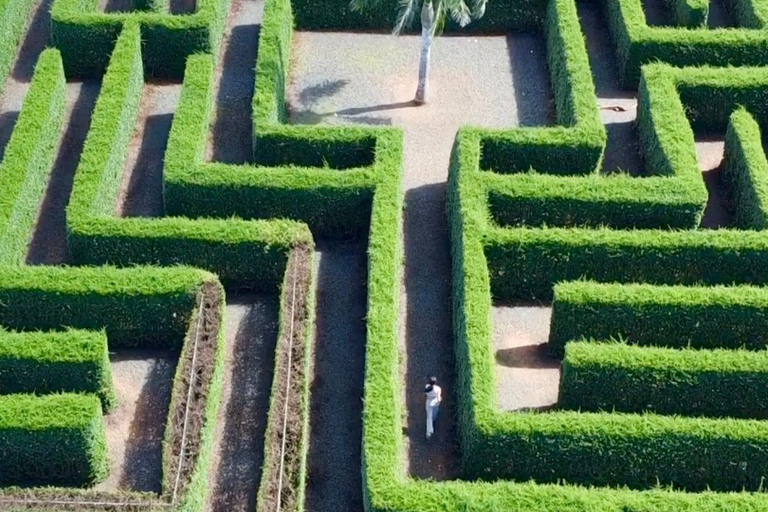 La Romana Half-Day Small Group Tour: Cave, Maze & Culture