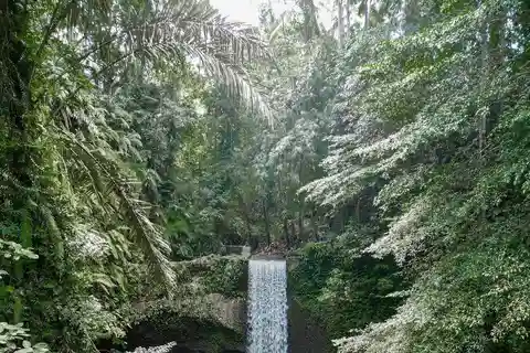 Ubud: tour delle cascate nascoste e delle terrazze di riso