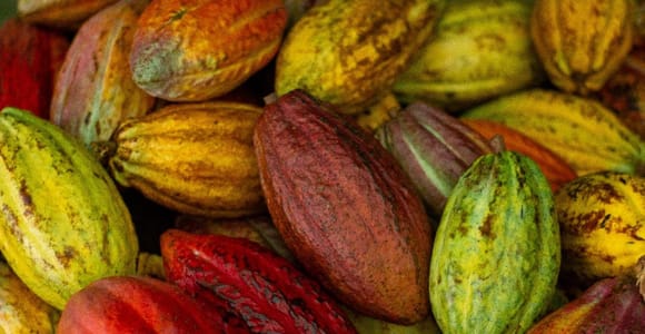La Fortuna: Don Juan Arenal Coffee & Hands-On Chocolate Tour