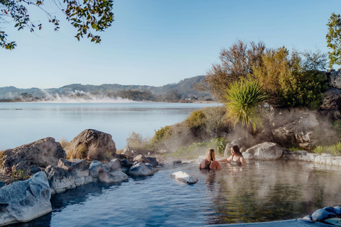 From Auckland:Rotorua Day Trip with Te Puia & Polynesian Spa