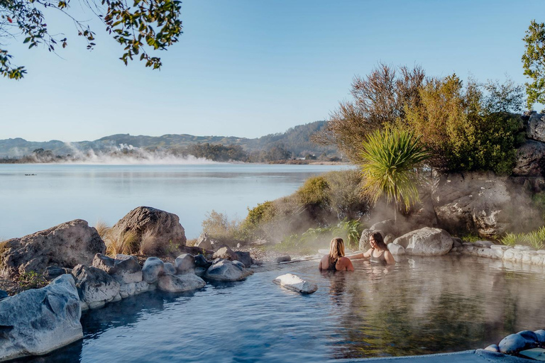 From Auckland:Rotorua Day Trip with Te Puia & Polynesian Spa