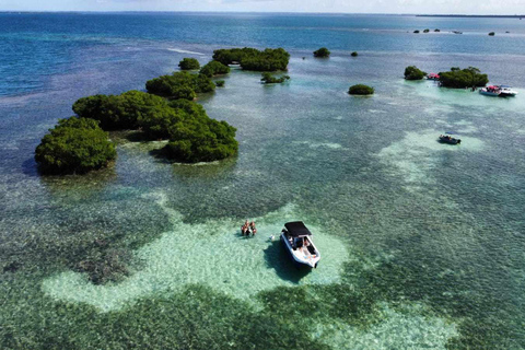 Grand Cul-de-Sac Marin Lagoon: 4-Hour Tour (Islet – Mangrove – Coral) Grand Cul-de-Sac-Marin Lagoon: 4-Hour Tour (Ilet – Mangrove – Coral)