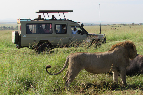 Arusha: 5-Day Safari to Tarangire, Lake Manyara, and …