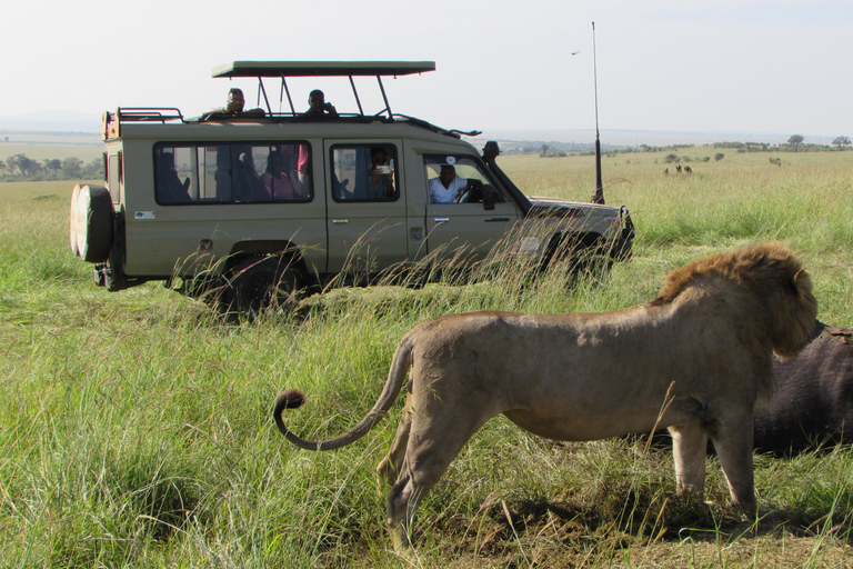 Arusha: 5-Day Safari to Tarangire, Lake Manyara, and …