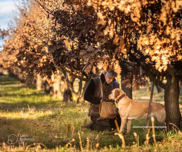 Avignon: Truffle Hunt - Uzès & Pont du Gard - Wine Tasting