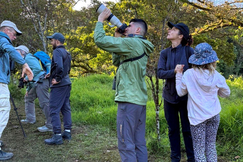 Monteverde: Cloud Forest Night Tour with Pablo