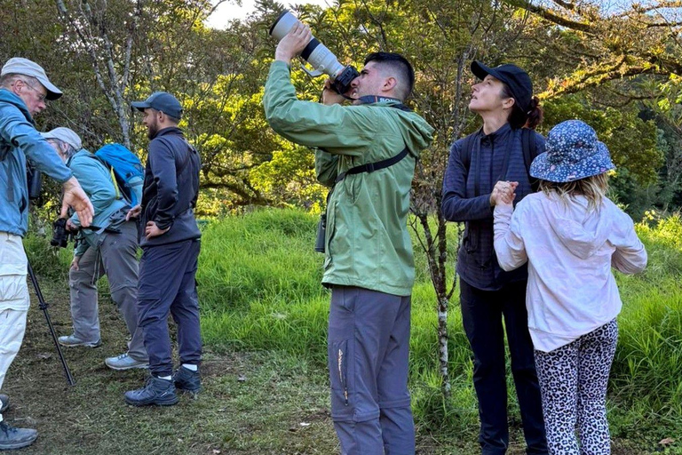 Monteverde: Cloud Forest Night Tour with Pablo