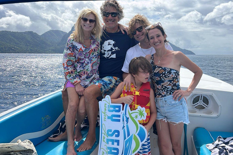 St. Lucia: Private Resort to Airport Speedboat Transfer