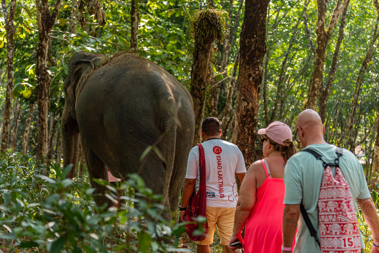 Khao Lak: Ethical Elephant, Zipline & ATV Premium Combo