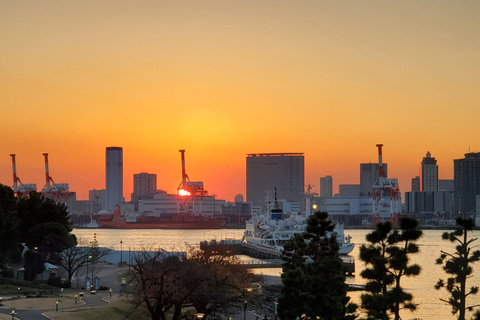 Visite privée de 5 heures en cas d&#039;escale à Tokyo